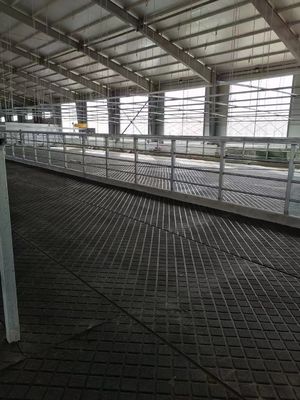 Anti Slip / Anti Fatigue Rubber Mat 20mm Thickness For Zoo Animal