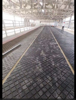 25mm Thickness Customized Rubber Mat For Zoo Animal